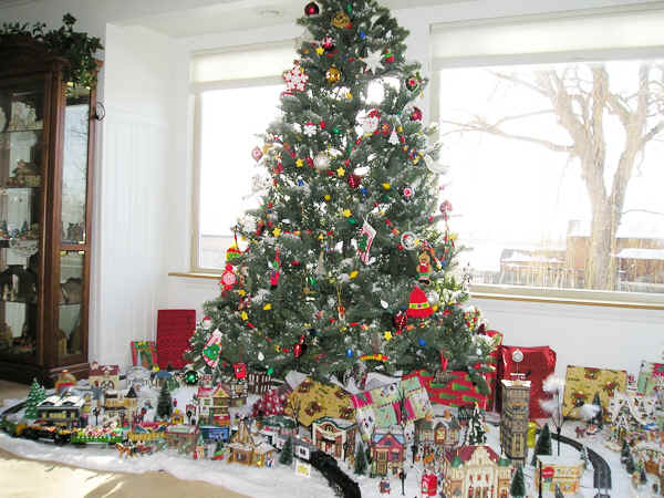 tree6.jpg (306214 bytes)